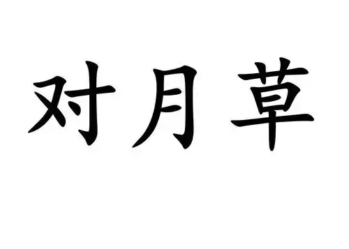 对月草怎么吃调月经图片