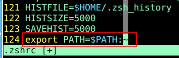 zsh bad assignment export path