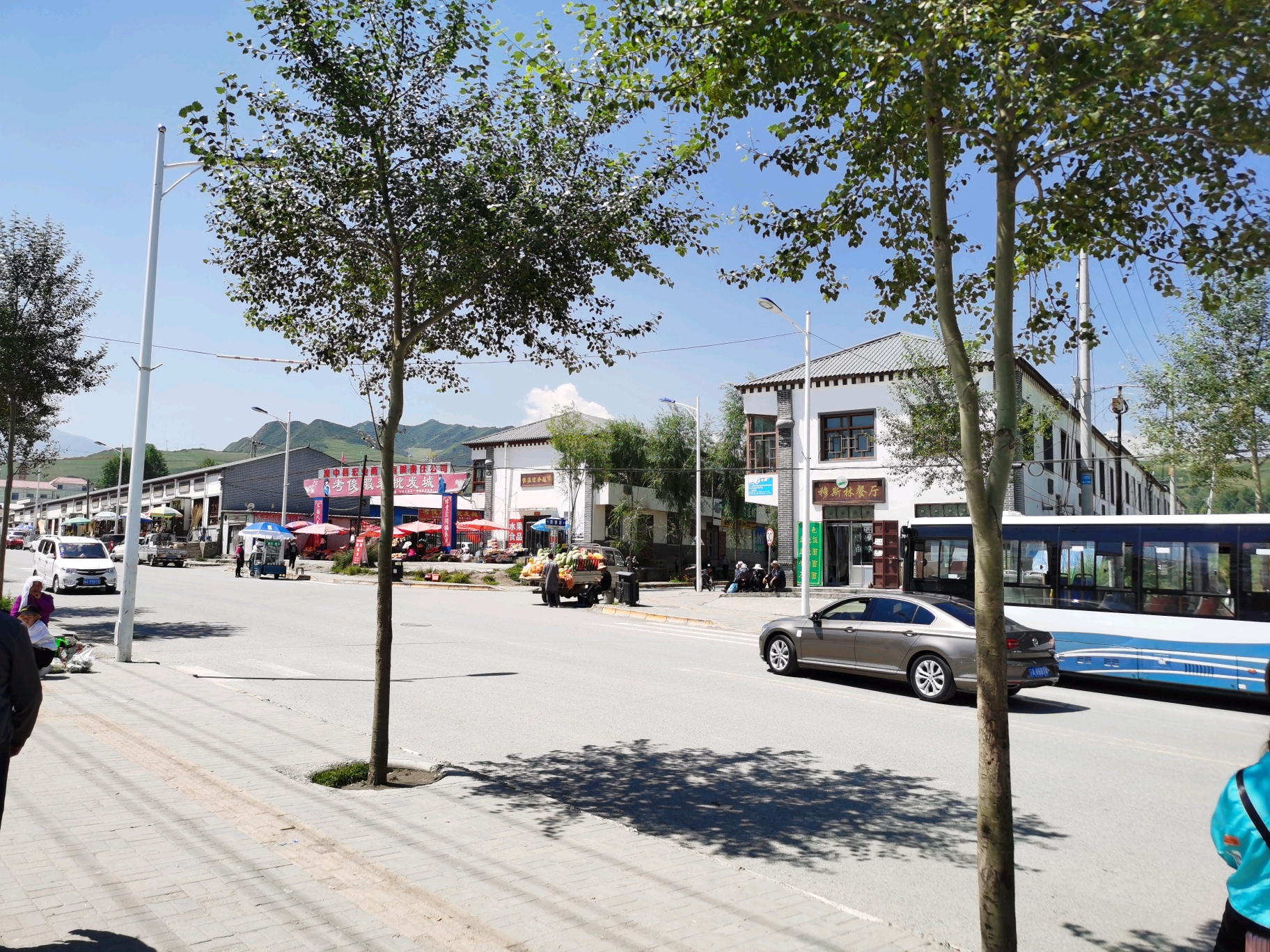 西宁周边第五期 湟中区上新庄镇