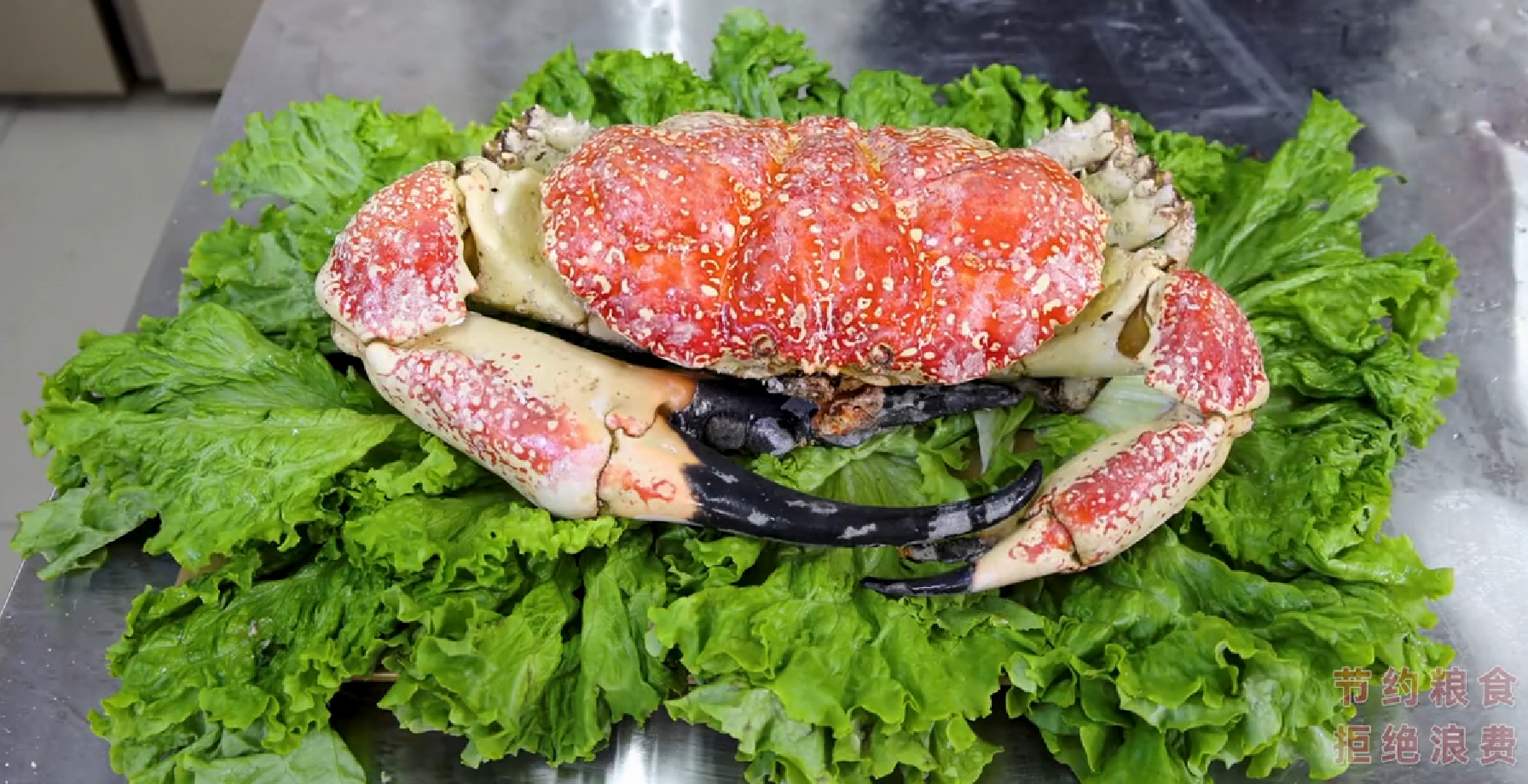 半吨先生的美食了解一下