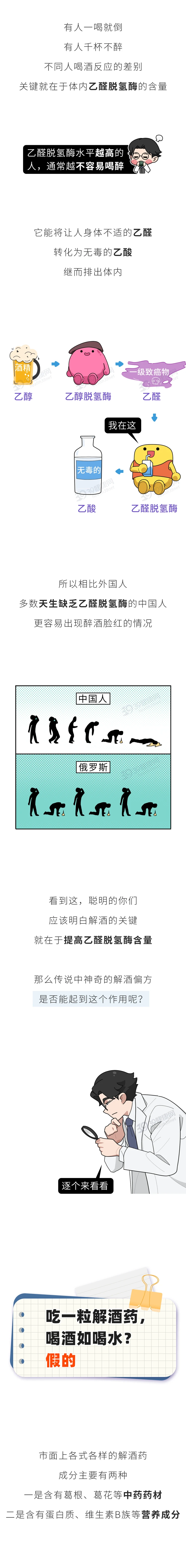 吃什么能快速解酒2