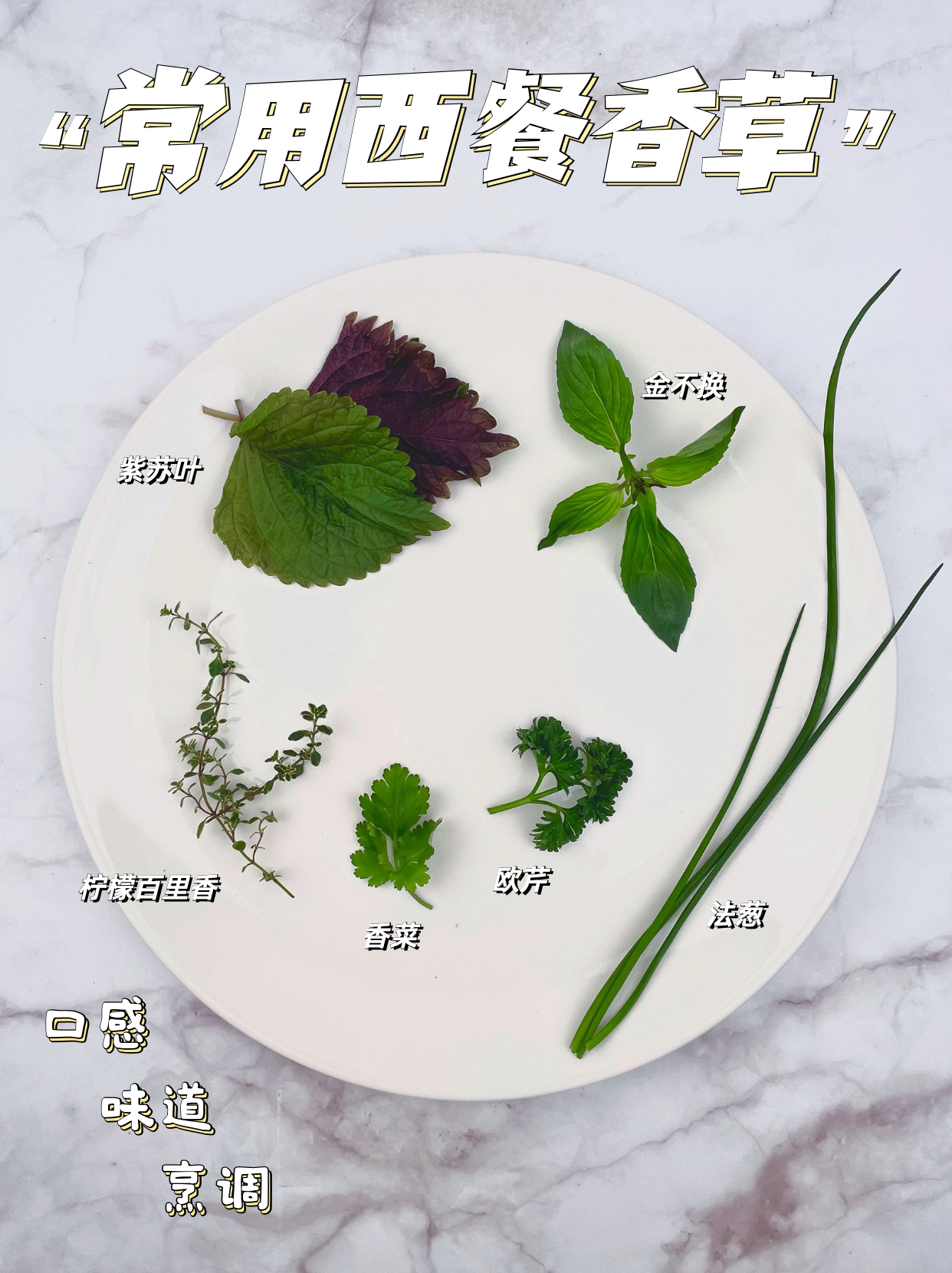 香草全员｜7 种香草大揭秘【第二弹】 哔哩哔哩