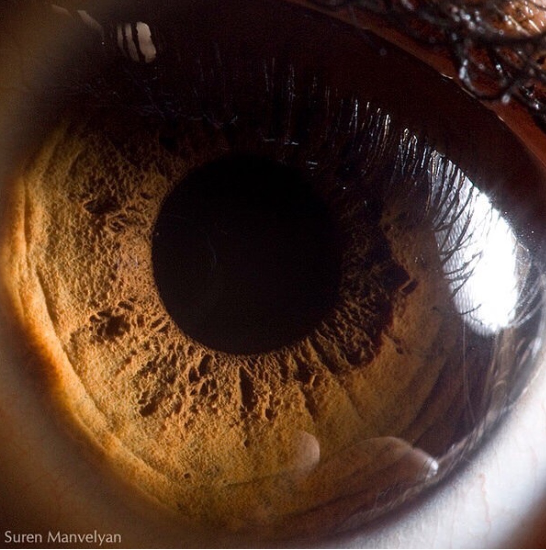 人类的眼睛（有多奇妙？又有多可怕？） - 哔哩哔哩
