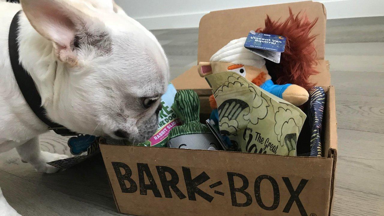 单季爆赚超1亿美元，BarkBox的网红套路有多深？ 哔哩哔哩