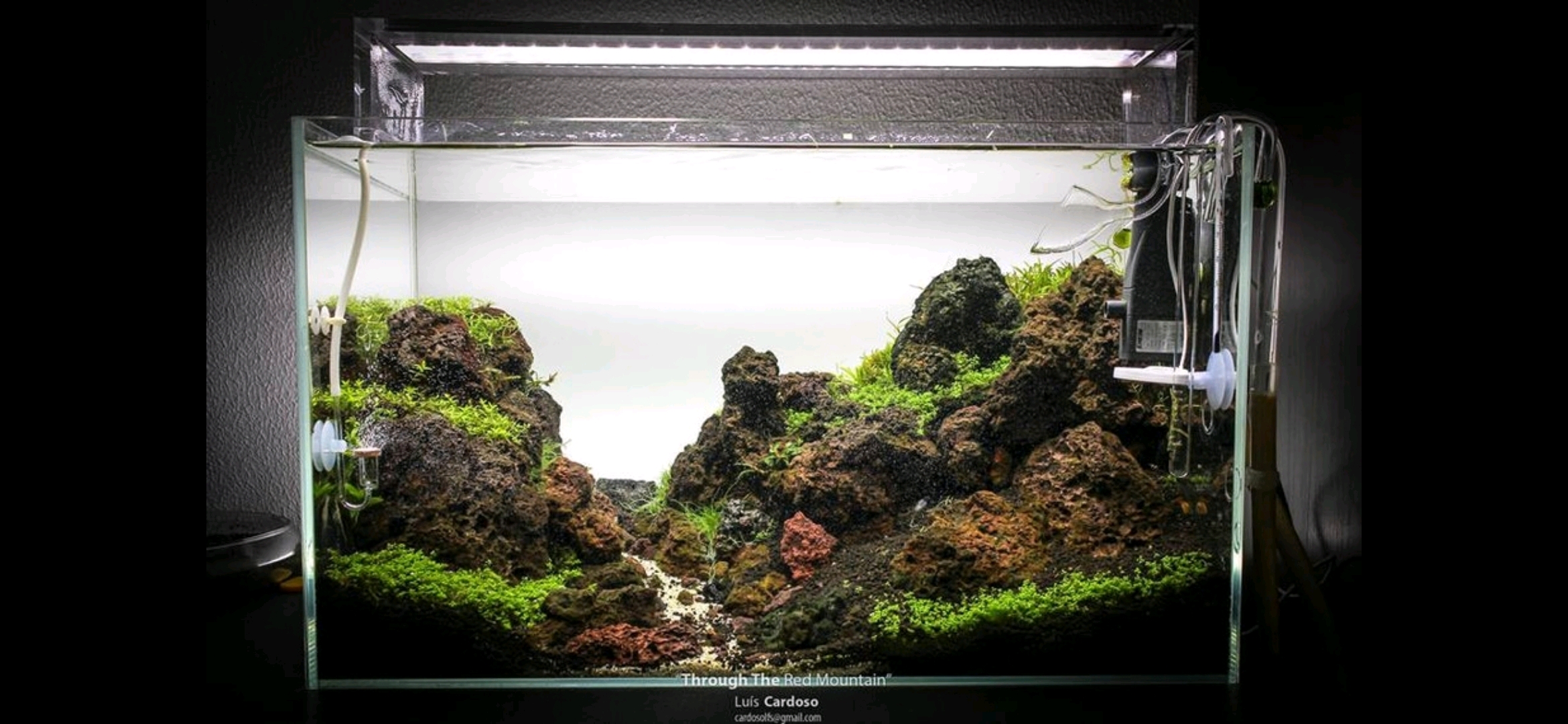 生活 萌宠 60cm草缸的成景之路转载国外facebook 很漂亮的造景 实用的