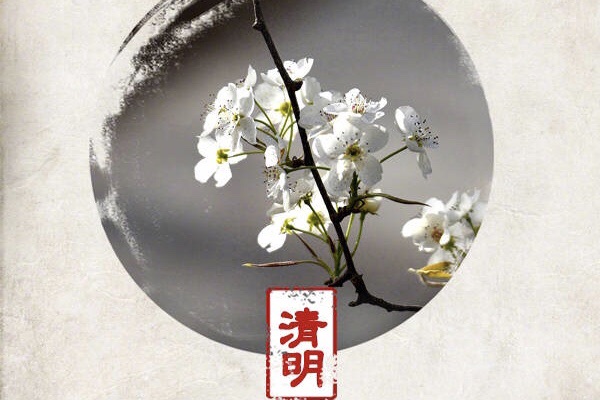 4.5这个月的放纵日嚼吐日用完了!