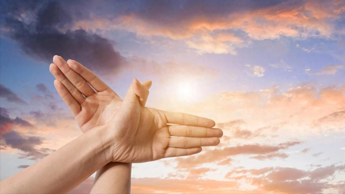 什么是自由?自由的三个内涵是什么? 哔哩哔哩