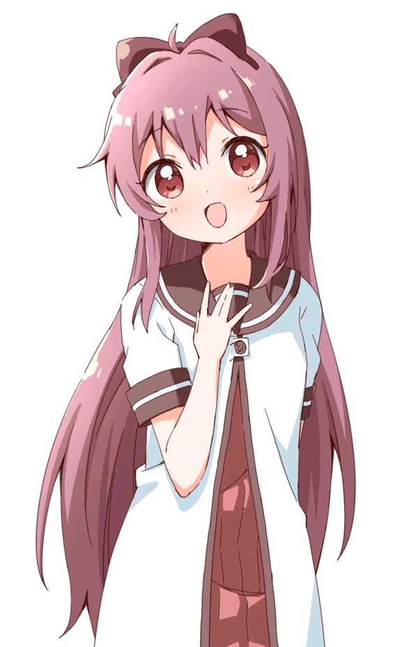 摇曳百合图片(1)