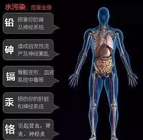 水在人体中占据着非常重要的作用,那想想当这些污染物质进入我们身体