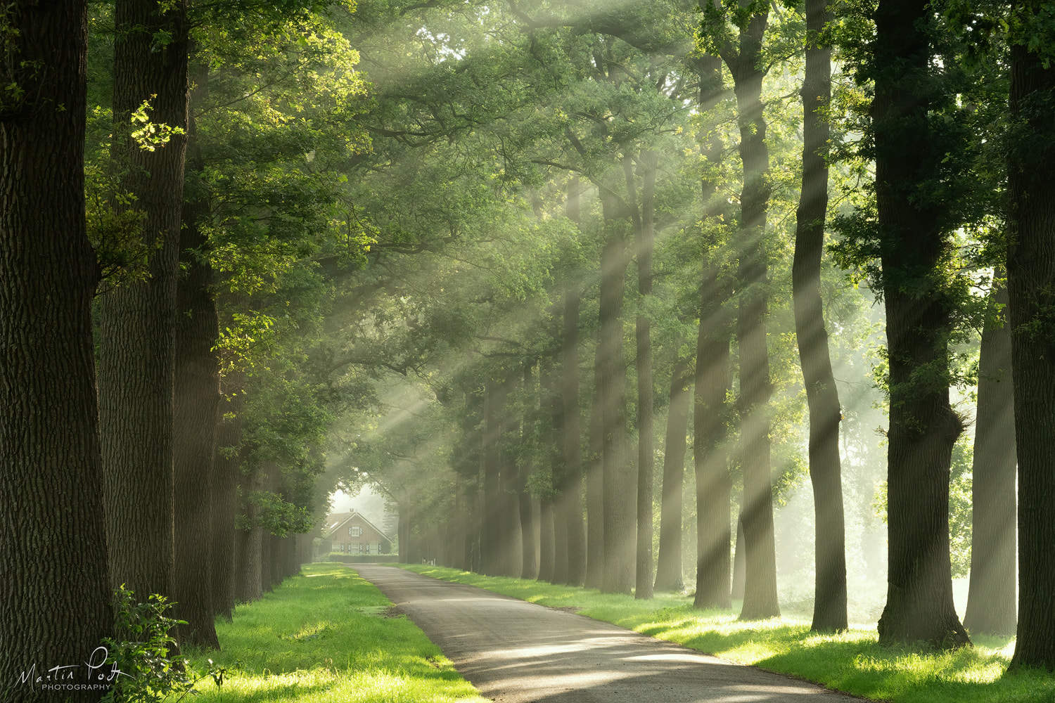 静静的山林 摄影图片