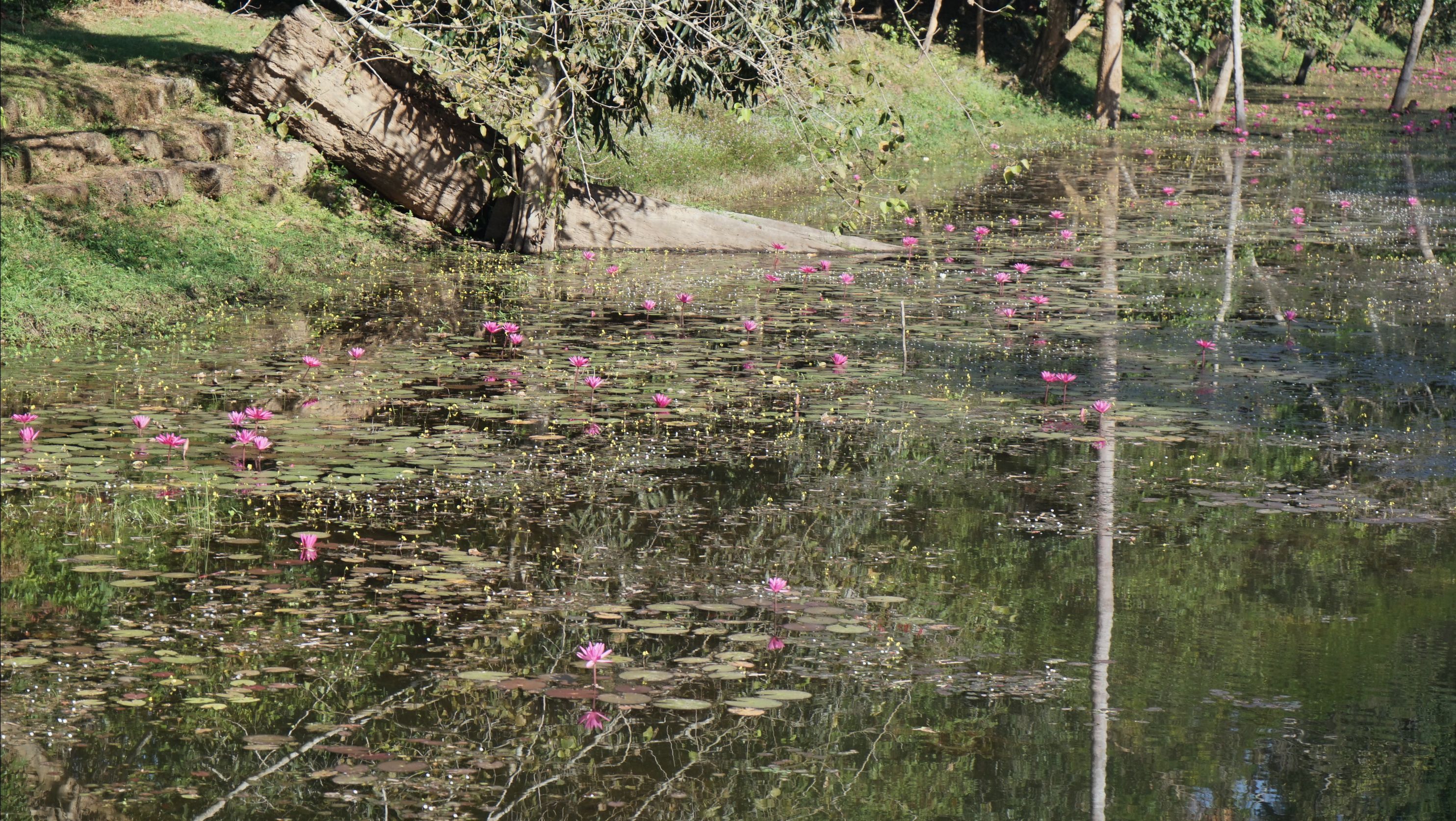 《道德经》学习笔记【第八章】上善若水 哔哩哔哩