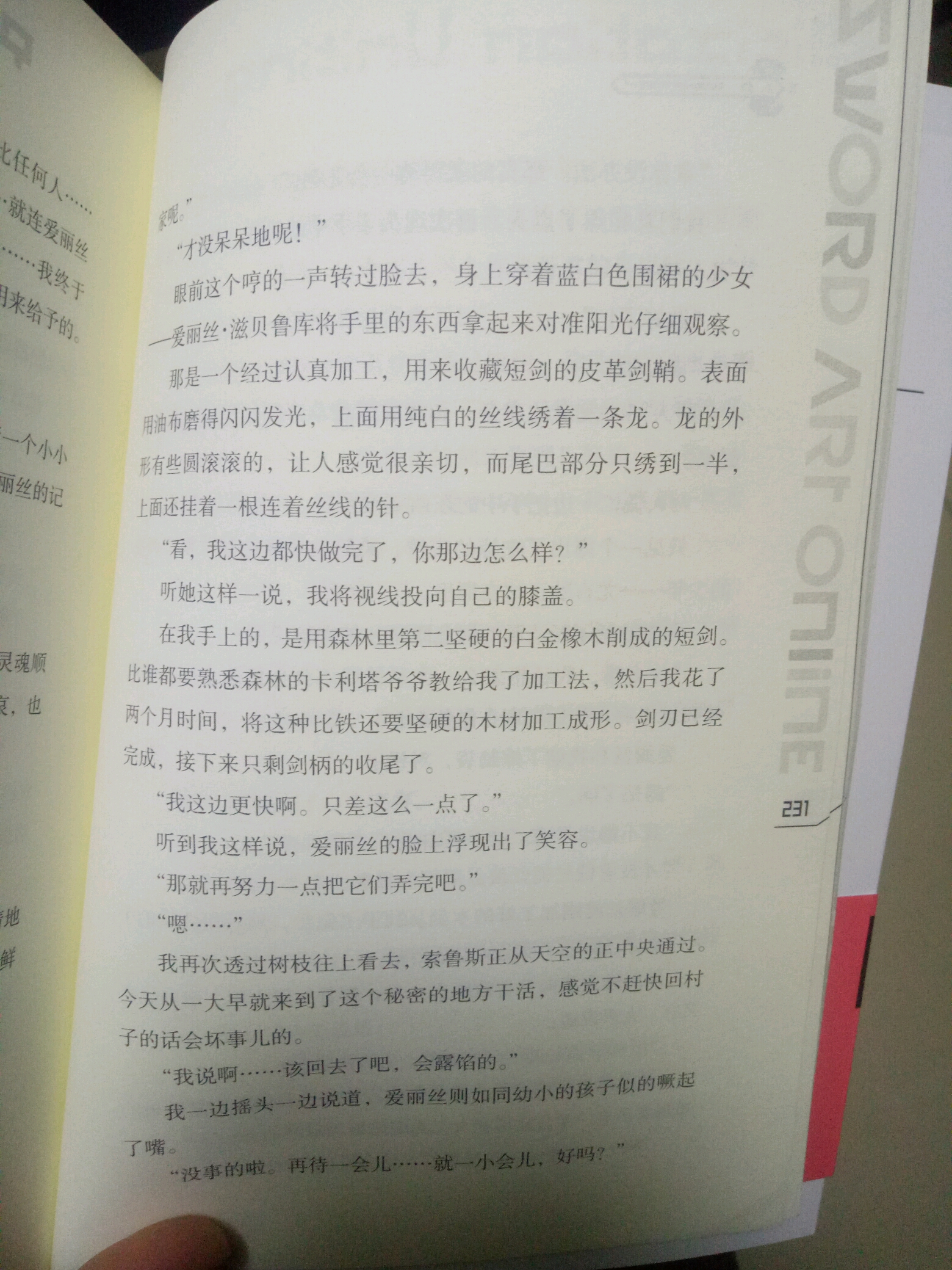 刀剑神域24集小说图片(其实就是剧透)