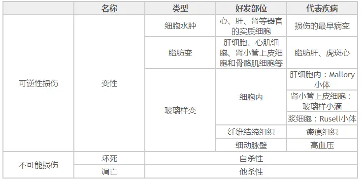 医疗招聘考试医基资料 组织的适应与损伤 哔哩哔哩