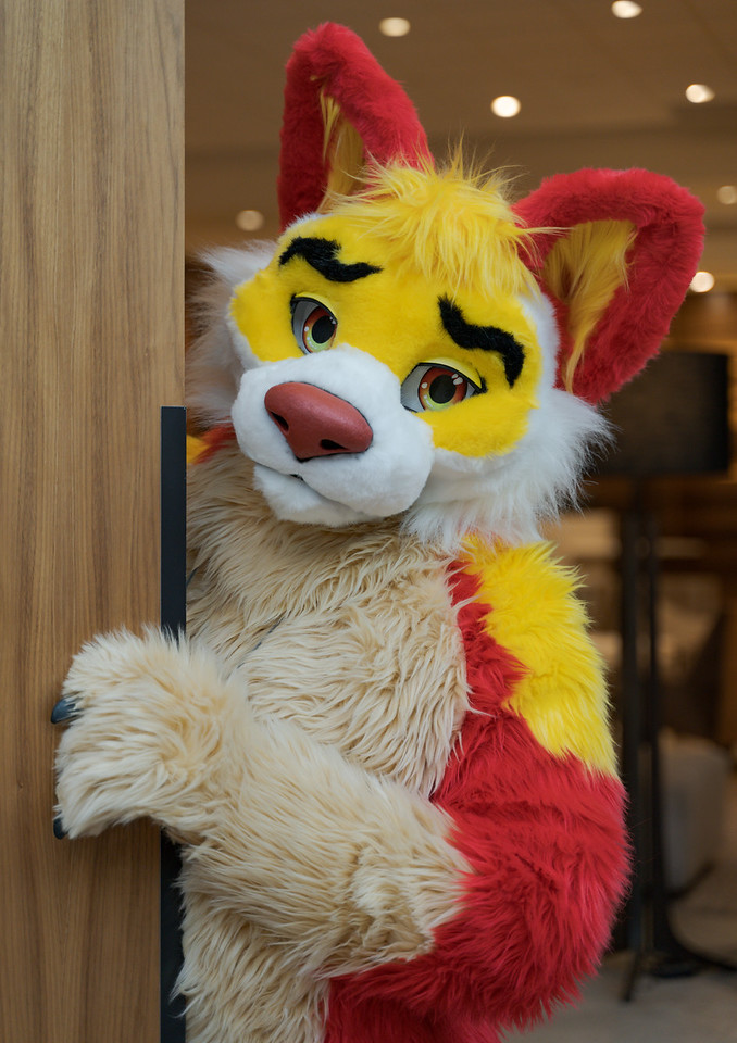 美系fursuit图集四