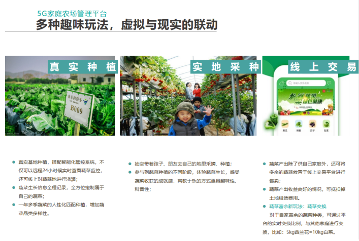 生态农场：自然之源的新篇章