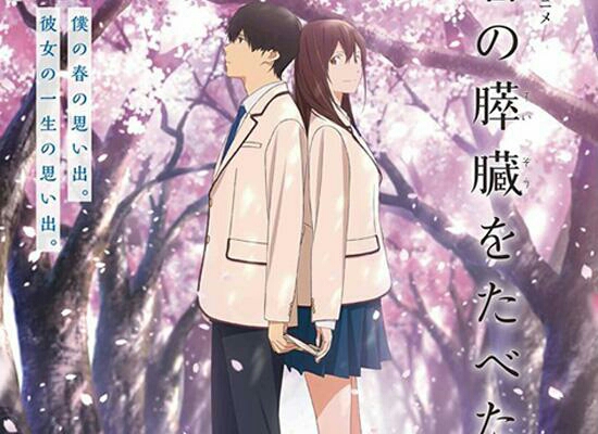 再谈《胰脏物语》(《我想吃掉你的胰脏》)