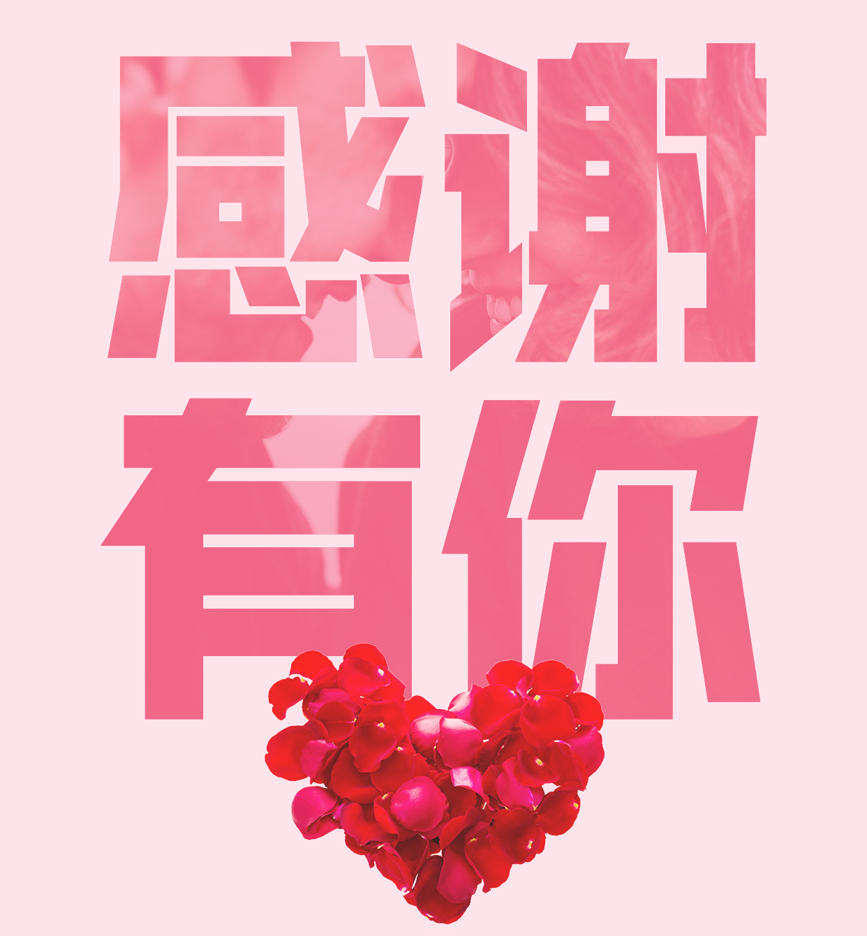 感恩,生命中的每次相遇