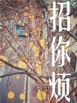 2019年3月下精品完结文