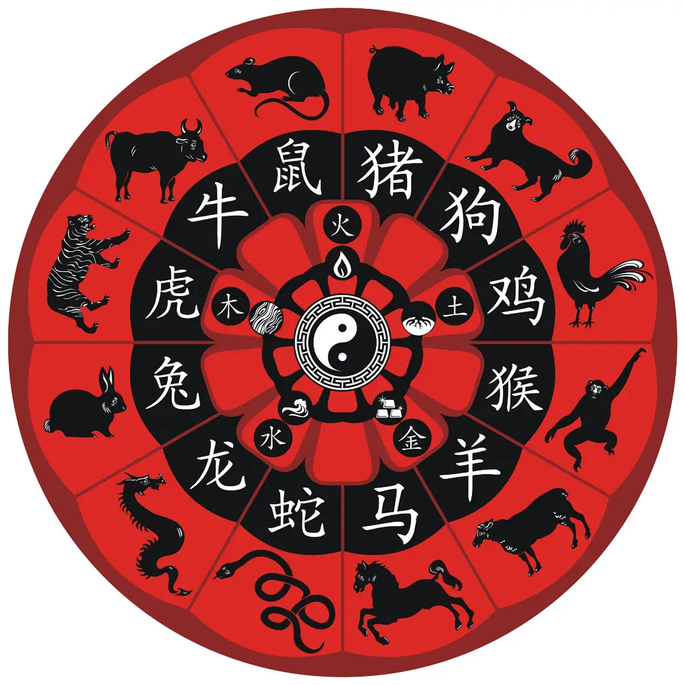 十二生肖男生龙年运势(十二生肖属龙男)