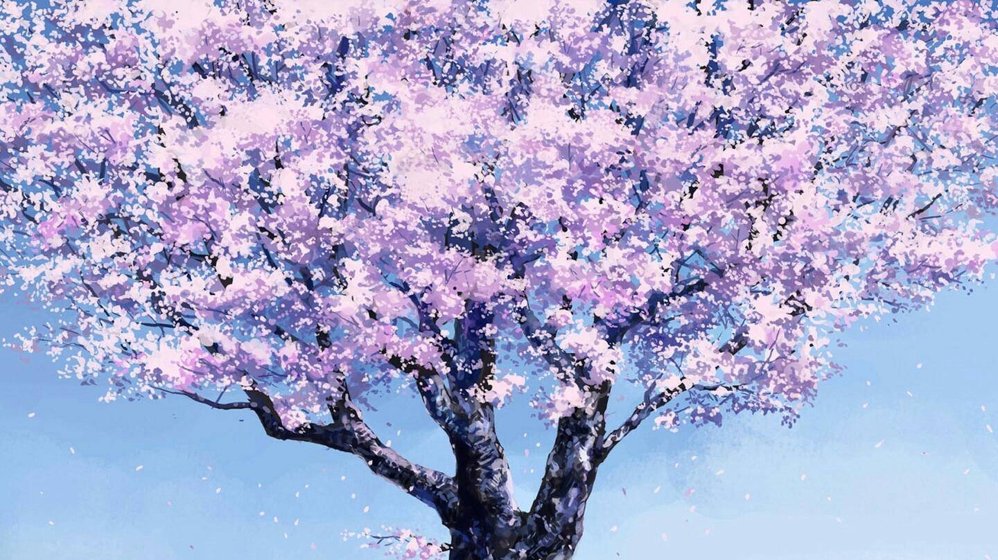 开满花的樱花树动漫桌面壁纸-壁纸图片大全