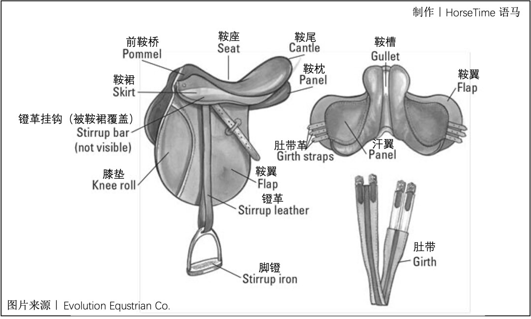 英式马鞍结构与匹配 - 哔哩哔哩