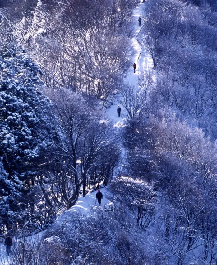 日本山野观察 第一回弥彦山 哔哩哔哩