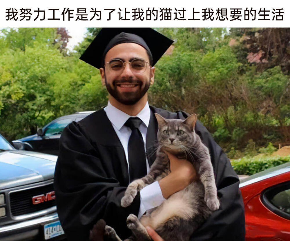 你是最棒的meme - 哔哩哔哩