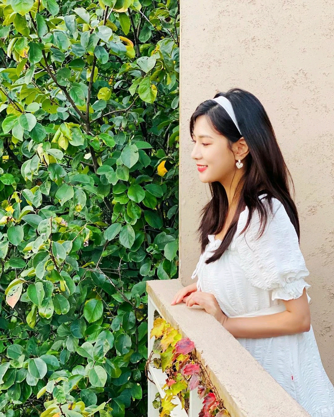 official.apink2011 ins 吴夏荣