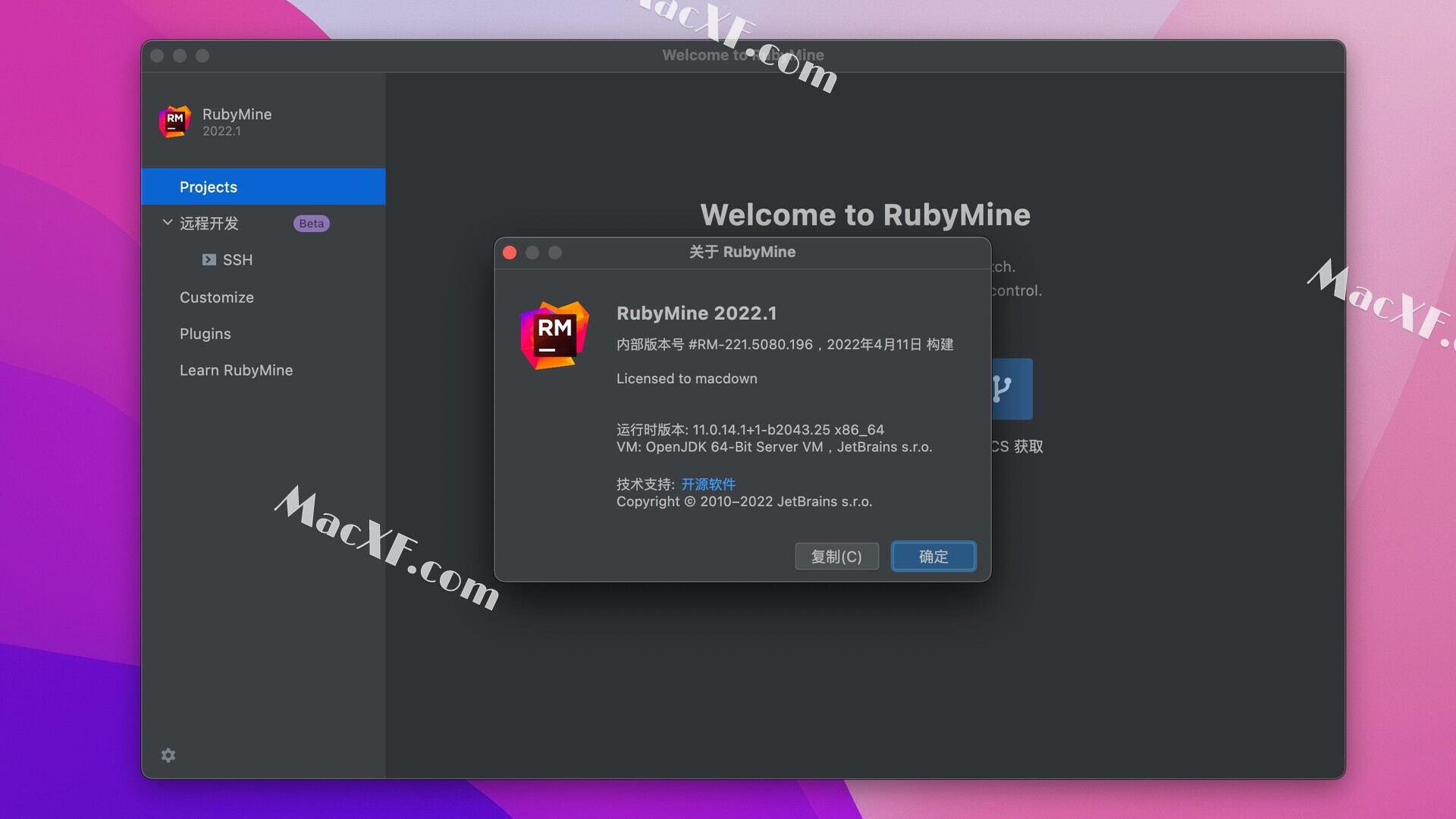 JetBrains RubyMine 2023.1.3 download the last version for mac