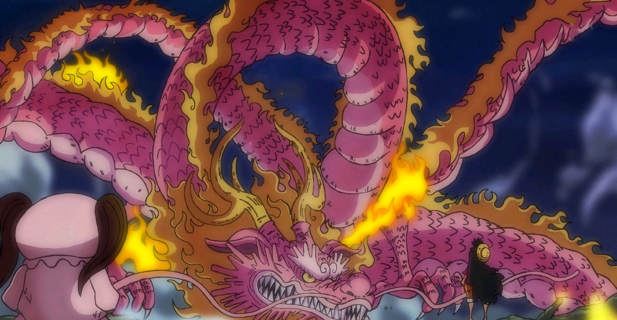 【超全整理】恶魔果实及其能力者【海贼王】 哔哩哔哩