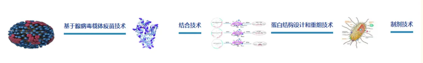 設計突變，穩定新冠病毒S蛋白，中國科學家對新技術疫苗的貢獻