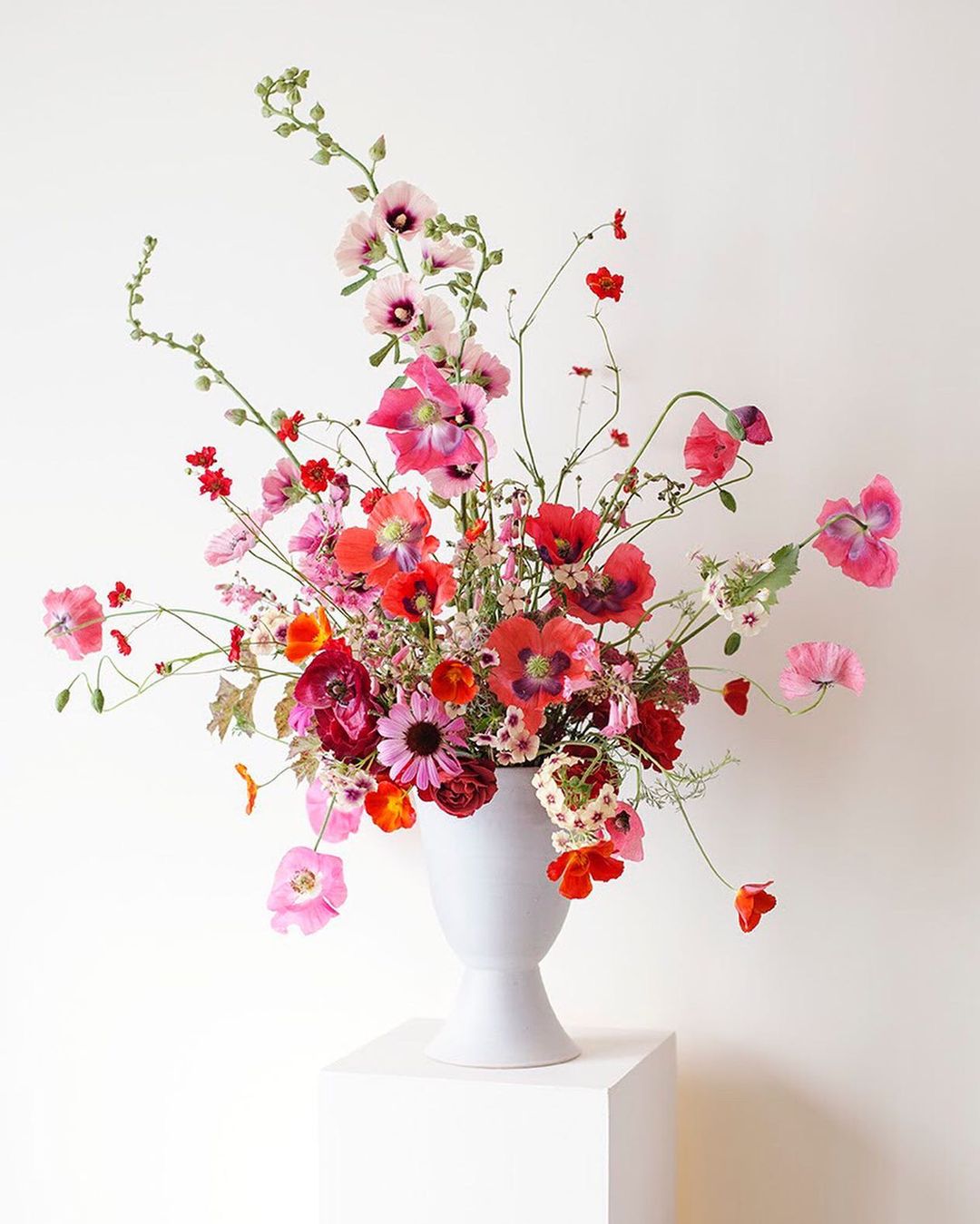 华德信体育艺新零售app官方