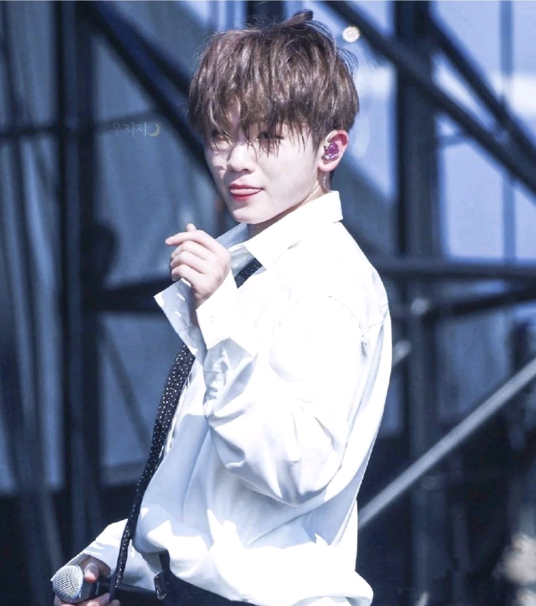 【seventeen woozi】倘若不曾爱过.