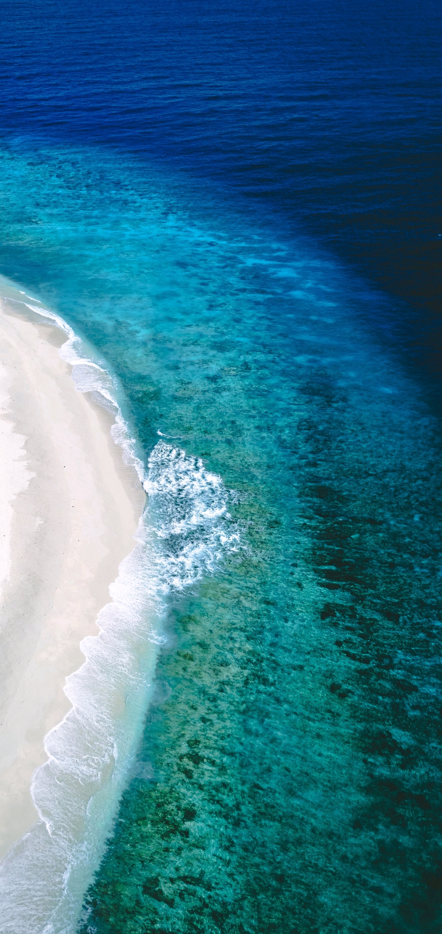 1440_3040竖版 竖屏