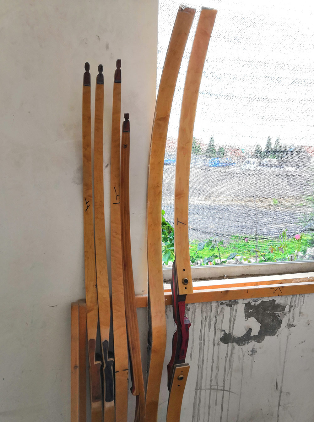 烟台之行:带大家深入了解巴尔美猎