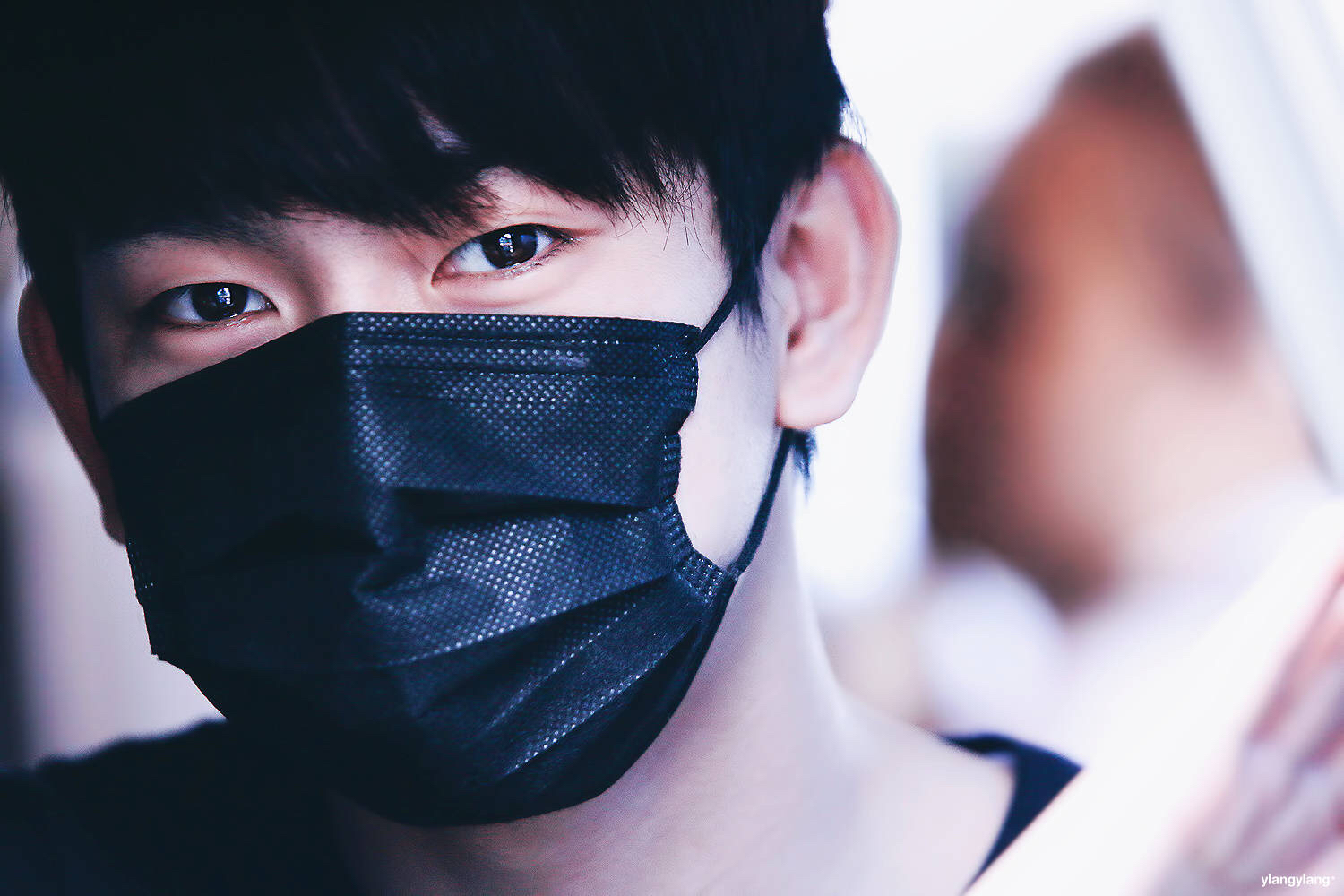 《我见过最极致的温柔》朴珍荣