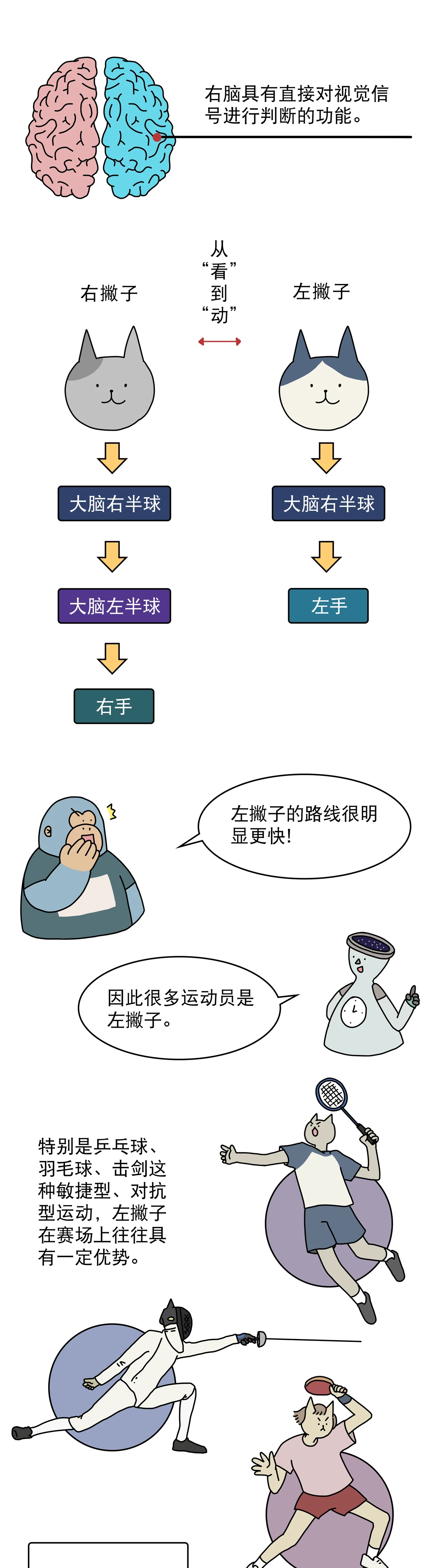 左撇子真的更聪明一些吗7