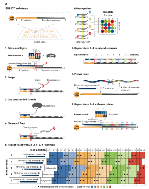 高通量测序原理及其发展简介