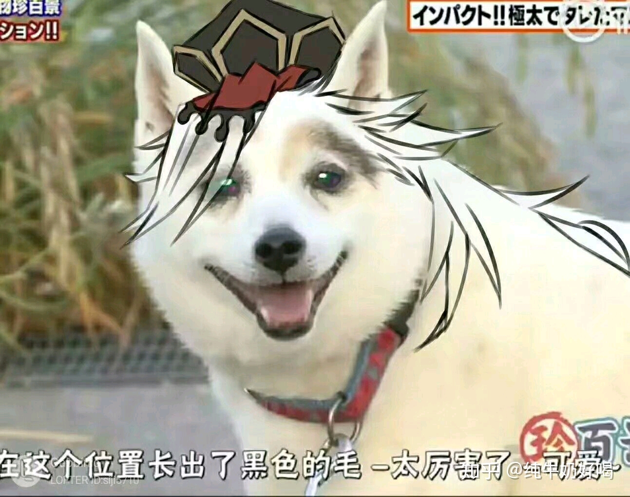 童磨:我无辜呢~我们关系很亲哦