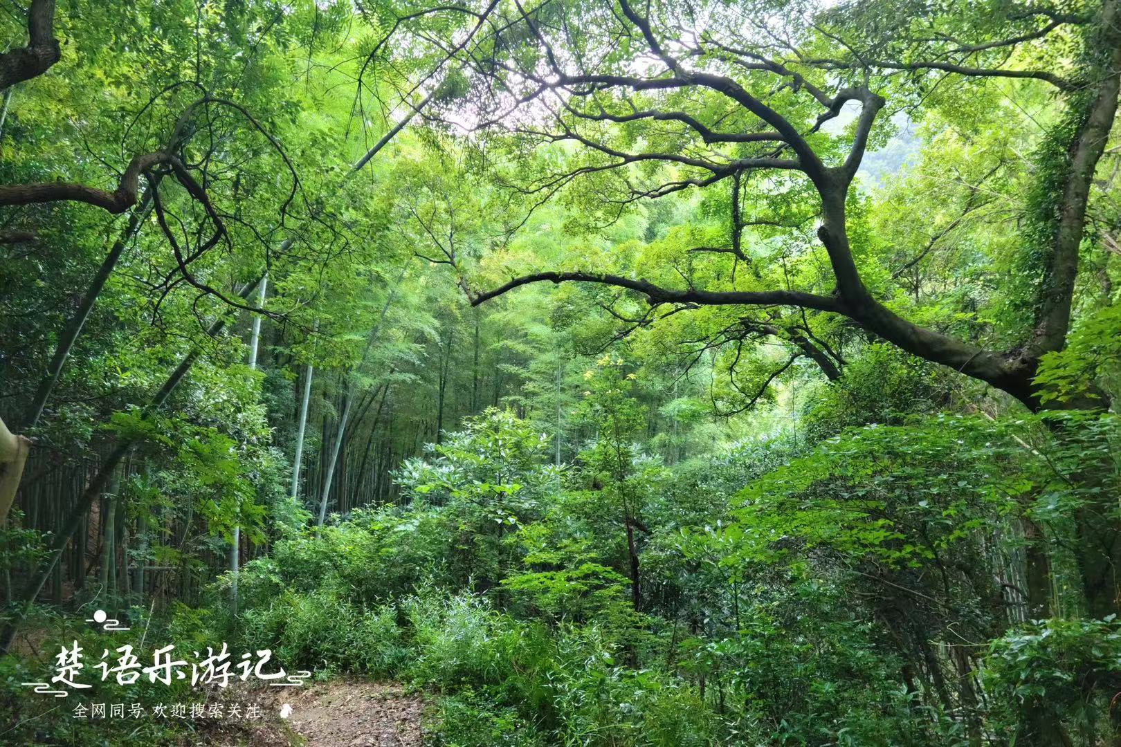 藏于宁波达蓬山岙里的水库,周边三条古道很有诗意,是徒步好去处 - 哔哩哔哩