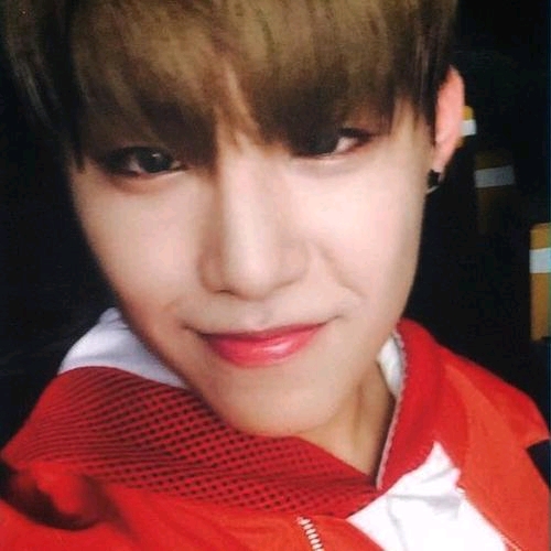 软软糯糯羊驼X霸道总裁五金『雀驼』同人文连