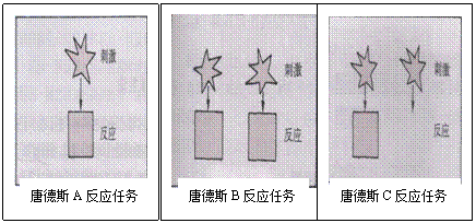 第一期随手将实验方案的前言改了改发上来的伪科普233反应时与减数法