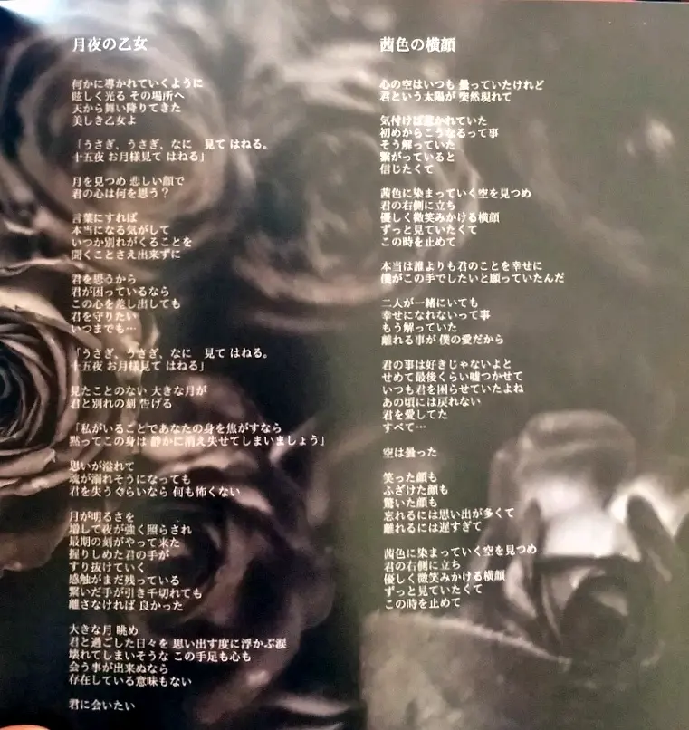 相机 Vanan Ice Scl Project Addicted Red Bk 部分歌词 哔哩哔哩