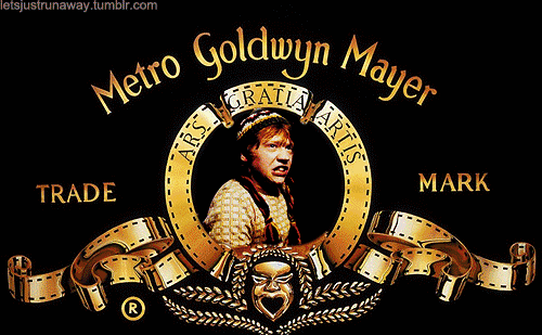 辛巴都回来了,你还记得这头狮子吗?