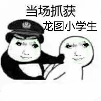 龙图！120张龙玉涛表情包合集 - 哔哩哔哩