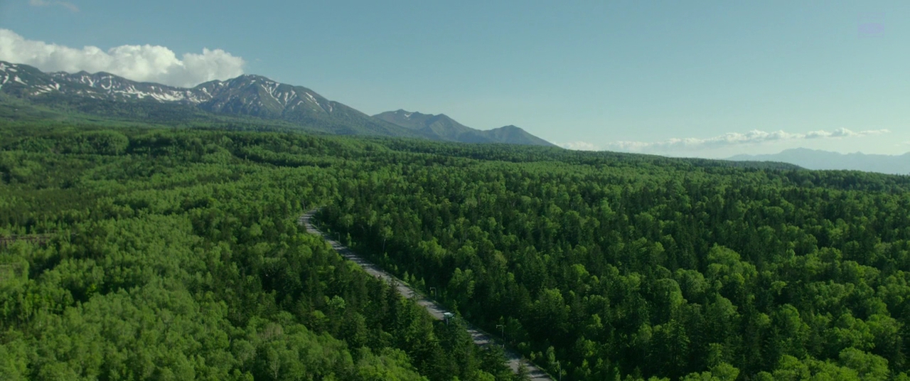 《羊与钢的森林》:故事有些弱,在我眼中沦为了