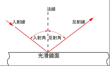 關於冬活偏振光