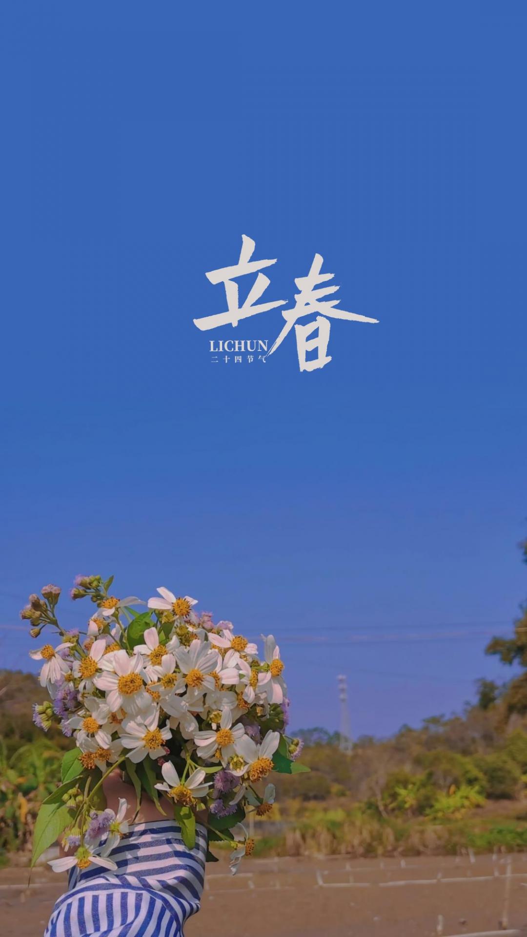 中国传统2019立春节日春天宣传海报图片下载 - 觅知网