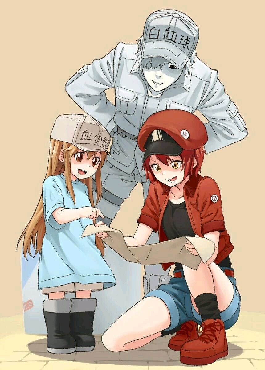 《工作细胞》9月5日剧场版,2021年1月第二季