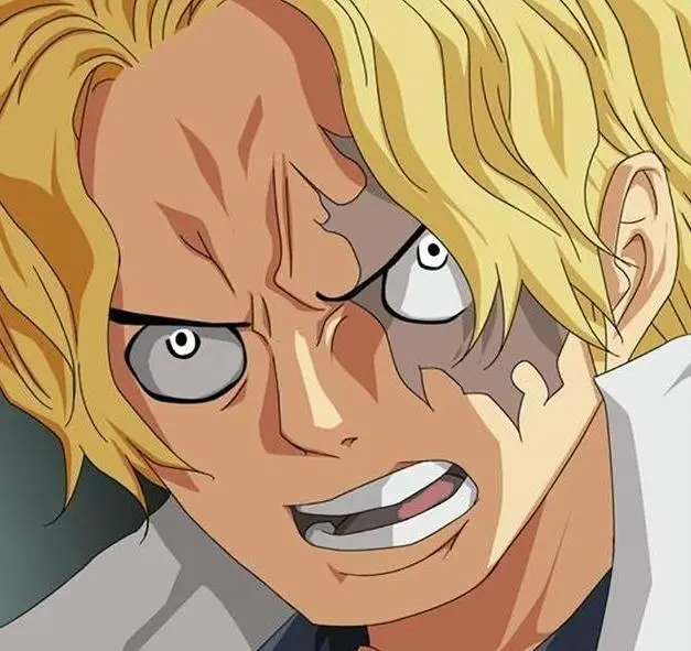 海贼王 萨博其实没死 为了避开绿牛 他已躲进了无风带 哔哩哔哩